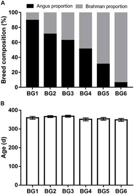 Animal Breed Composition Is Associated With the Hindgut Microbiota Structure and β-Lactam Resistance in the Multibreed Angus-Brahman Herd